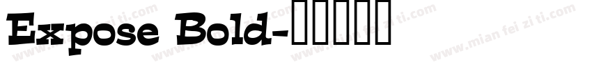 Expose Bold字体转换